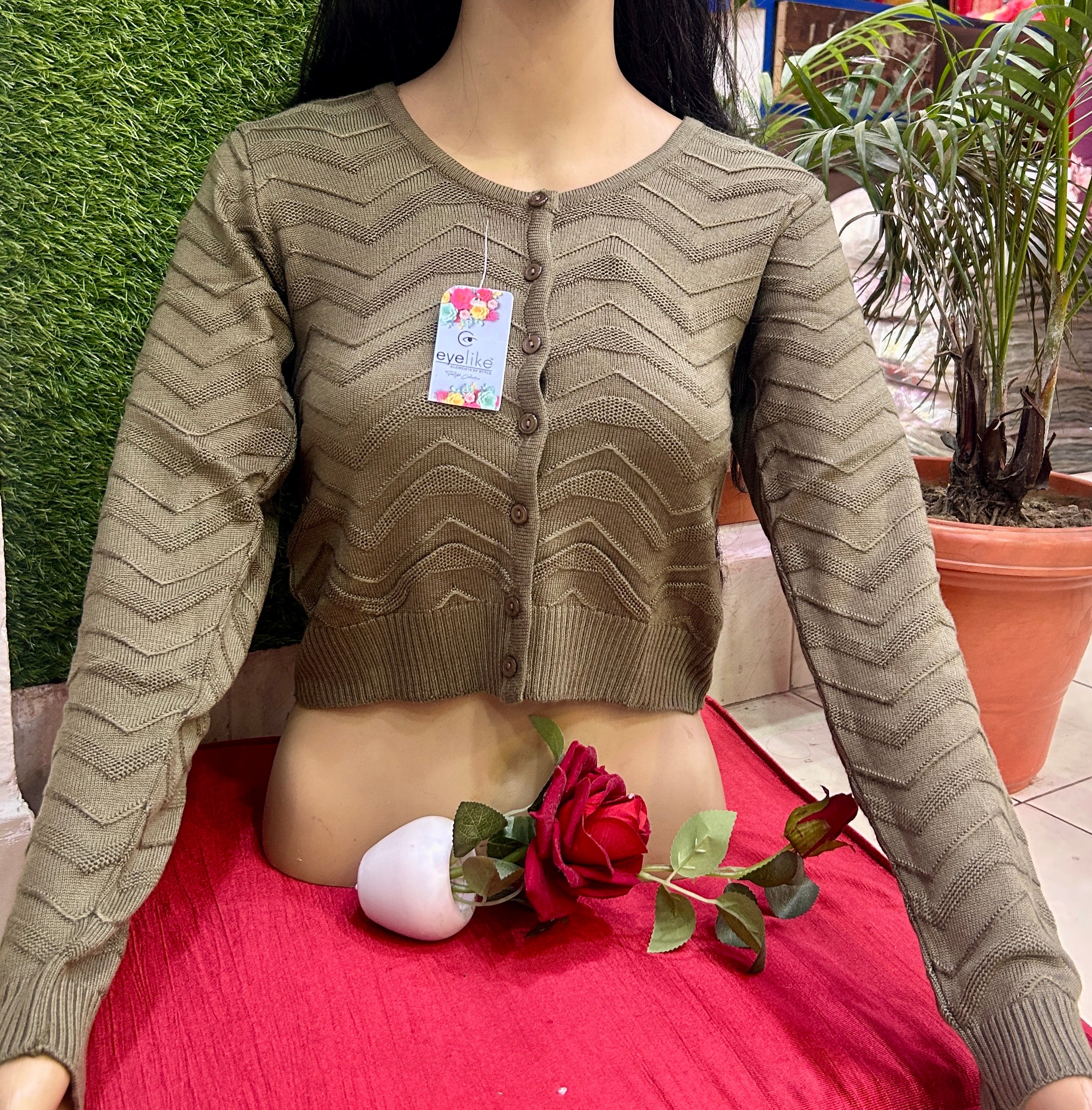 Eyelike Woolen Blouse